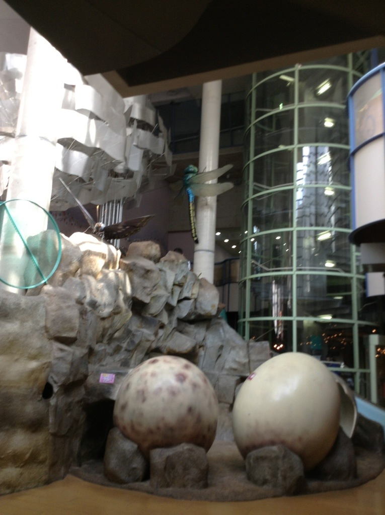 湘南台文化センターこども館に行ってきました 子どもと暮らしてみぃつけたっ